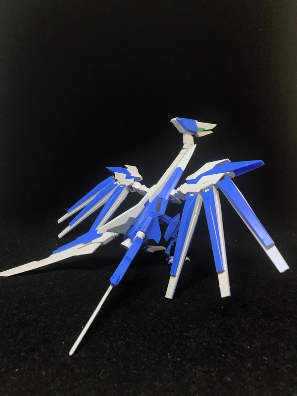 hghngv009.jpg