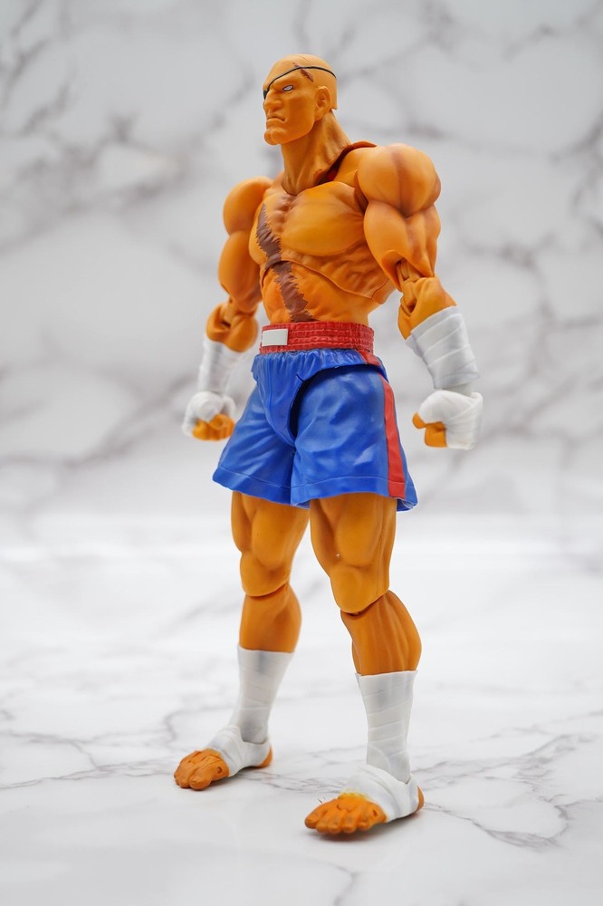 適当な価格 新品未開封 サガット S.H.フィギュアーツ - ゲームキャラクター