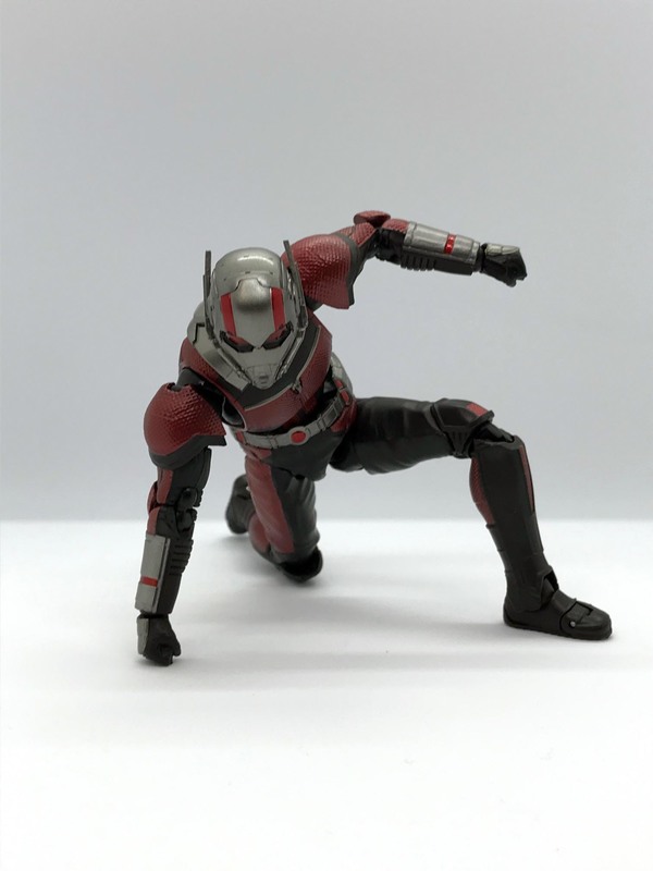 shfa016.jpg