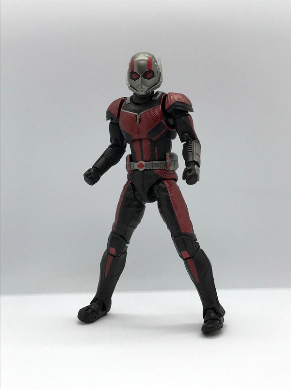 shfa018.jpg