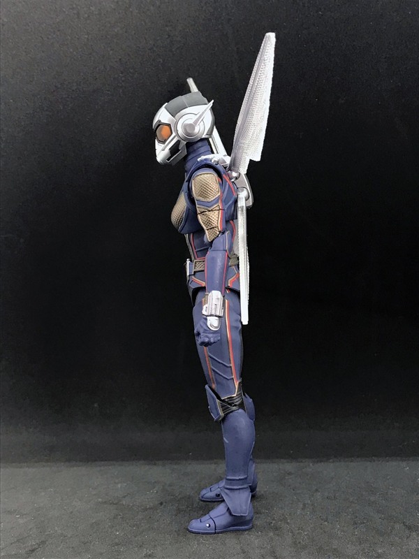 shfw005.jpg
